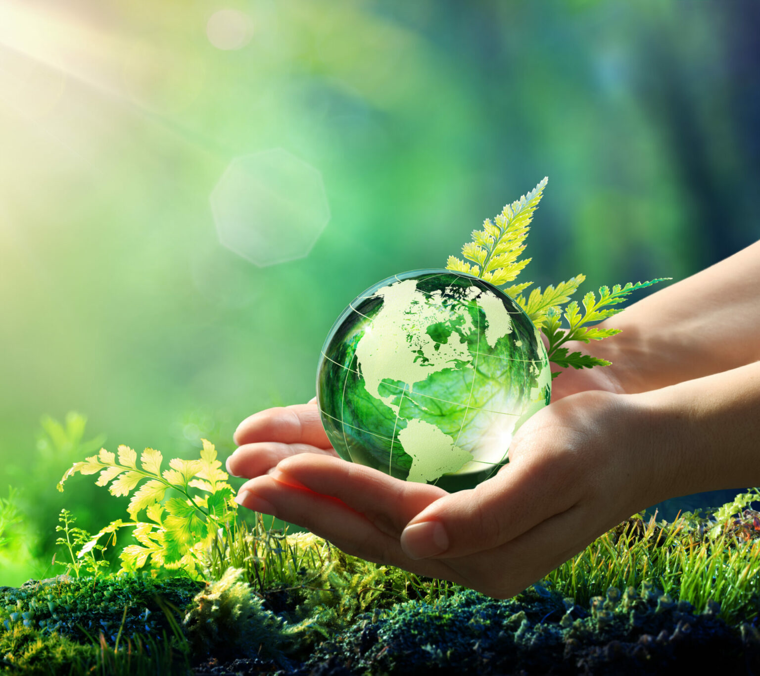 Hands holding green globe in green environment