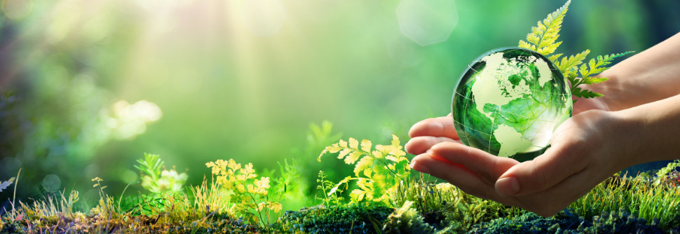 child hands holding a small crystal globe in a forest filled with green foliage