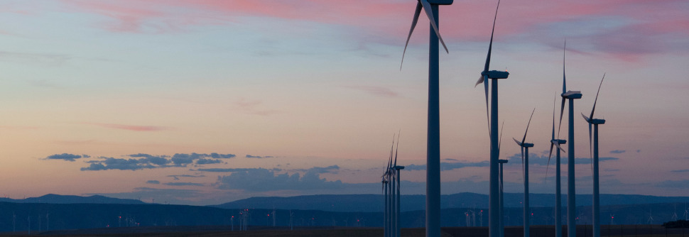 A landscape at sunset with several dozen wind turbines visible.