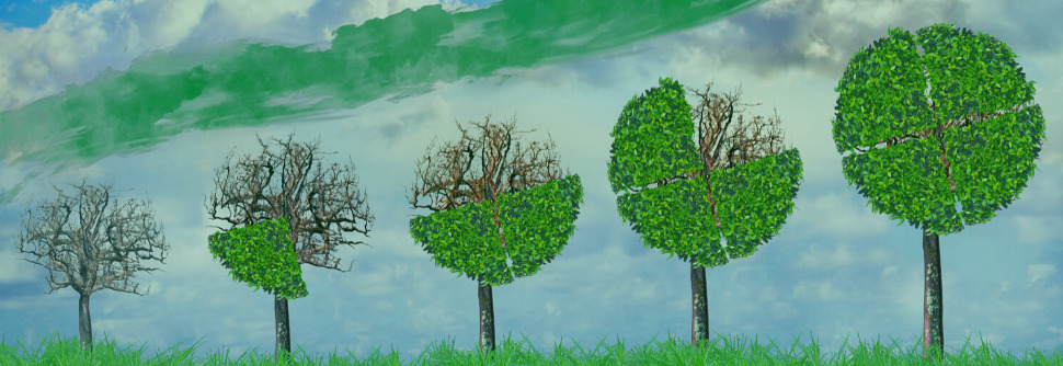 Painting depicting a row of trees, each with leaves in the shape of a pie chart. The amount of leaves on each tree decreases incrementally from right to left.